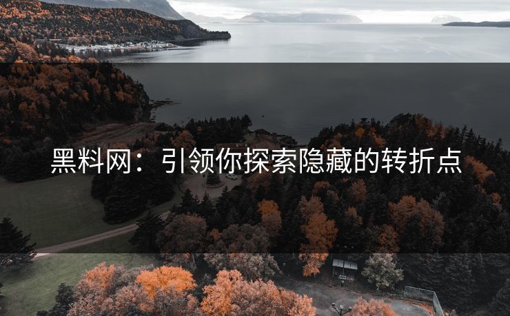 黑料网：引领你探索隐藏的转折点