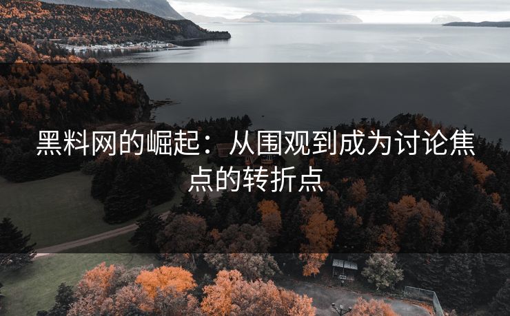 黑料网的崛起:从围观到成为讨论焦点的转折点 黑料网的崛起:从围观到成为讨论焦点的转折点