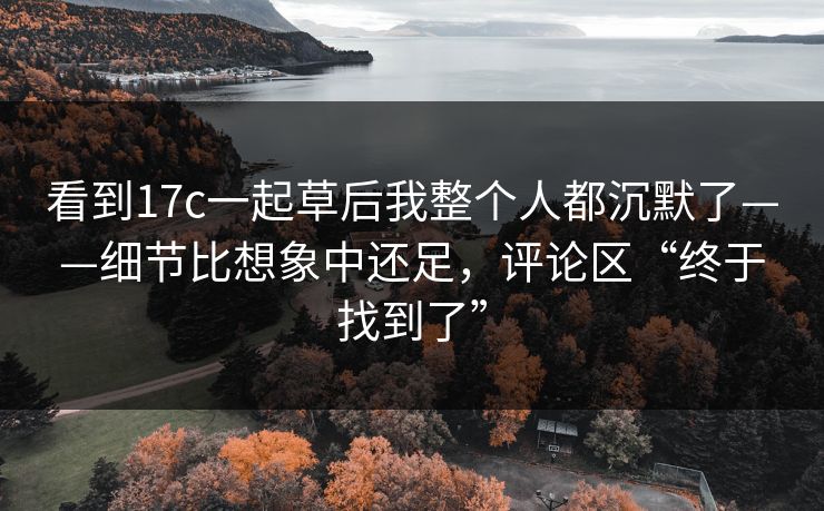 看到17c一起草后我整个人都沉默了——细节比想象中还足，评论区“终于找到了”