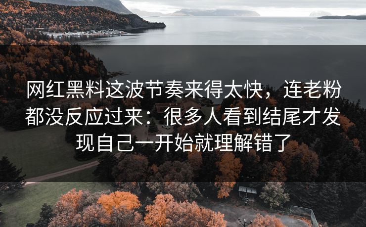 网红黑料这波节奏来得太快,连老粉都没反应过来:很多人看到结尾才发现自己一开始就理解错了 网红黑料这波节奏来得太快,连老粉都没反应过来:很多人看到结尾才发现自己一开始就理解错了