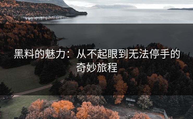 黑料的魅力:从不起眼到无法停手的奇妙旅程