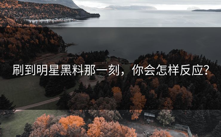 刷到明星黑料那一刻，你会怎样反应？